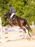 DSC03739 DSC03739