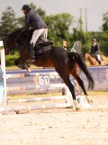DSC03743 DSC03743
