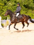 DSC03748 DSC03748