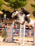 DSC03944 DSC03944