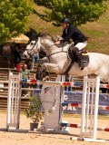 DSC03945 DSC03945