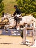 DSC03948 DSC03948