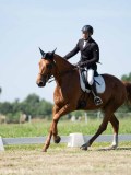 DSC07264 DSC07264