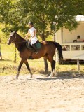 DSC07555 DSC07555