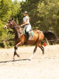 DSC07556 DSC07556