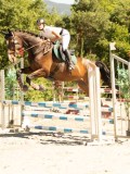 DSC07557 DSC07557