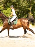 DSC07558 DSC07558