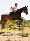 DSC07562 DSC07562