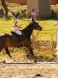 DSC07570 DSC07570