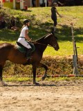 DSC07571 DSC07571