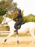 DSC08965 DSC08965