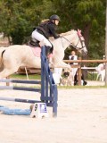 DSC09950 DSC09950