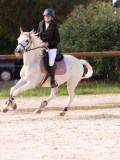 DSC07890 DSC07890
