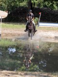 IMG_7341