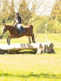 DSC00290