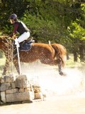 DSC00299 DSC00299