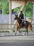 IMG_7863 IMG_7863