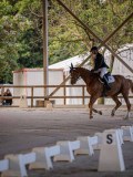 IMG_7865 IMG_7865