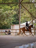 IMG_7866 IMG_7866