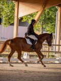 IMG_7870 IMG_7870