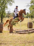 IMG_9428 IMG_9428