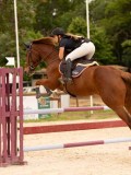 DSC05448 DSC05448