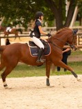 DSC05453 DSC05453