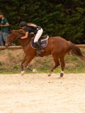 DSC05456 DSC05456