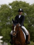 IMG_0558 IMG_0558