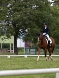 IMG_0559 IMG_0559