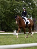 IMG_0560 IMG_0560