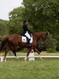 IMG_0561 IMG_0561
