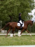 IMG_0562 IMG_0562