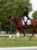 IMG_0565 IMG_0565