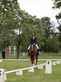 IMG_0566 IMG_0566