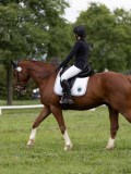 IMG_0568 IMG_0568