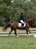 IMG_0573 IMG_0573