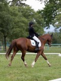IMG_0575 IMG_0575
