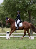 IMG_0578 IMG_0578
