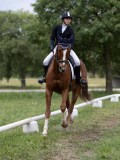 IMG_0579 IMG_0579