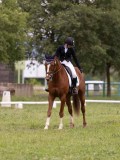 IMG_0583 IMG_0583