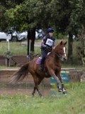 IMG_3107 IMG_3107