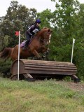 IMG_3108 IMG_3108