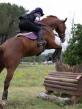 IMG_3113 IMG_3113
