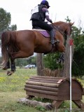 IMG_3114 IMG_3114