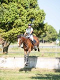 DSC08449 DSC08449