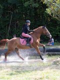 IMG_5937