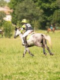 SGE06084