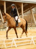 DSC06565 DSC06565