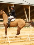 DSC06569 DSC06569
